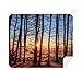 Dark Forestry Science Nature Scenery Cleaning Cloth Screen Cleaner 2pcs Suede Fabric