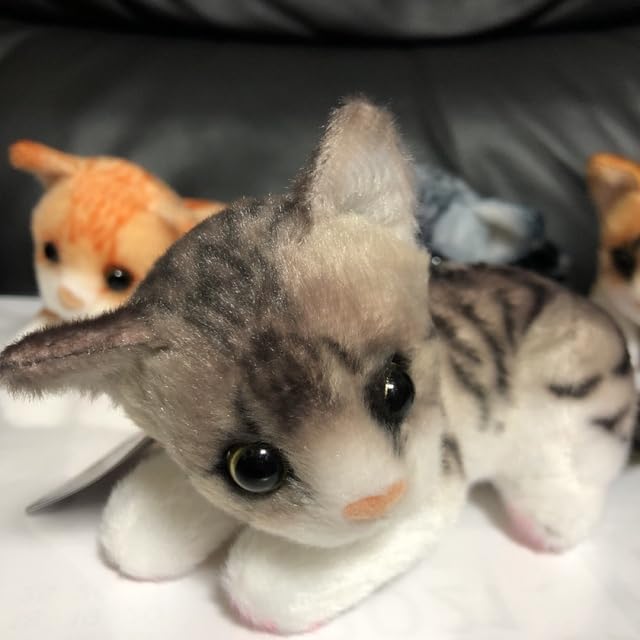 ZO&FRIENDS ZOA猫　ぬいぐるみマスコット １０個セット ZO&FRIENDS ZOA猫 ぬいぐるみマスコット 10個セット