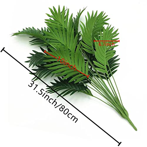 Recopilación y reviews de Planta hoja elegante para comprar online. 32 Imagen adicional