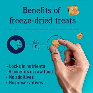 Stewart Freeze Dried Canine Treats Wild Salmon 95 Oz Grain Free  Gluten Free Resealable Tub Single Ingredient Coaching Deal with in Beef Liver Salmon Hen Liver  Hen Breast 4 14 21 Oz  Cucciolini Doodles Stewart freeze dried canine treats wild salmon 9 5 oz grain free  gluten free resealable tub single ingredient coaching deal with in beef liver salmon hen liver  hen breast 4 14 21 oz   cucciolini doodles