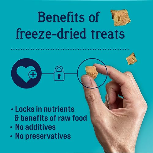 Stewart Freeze Dried Canine Treats Wild Salmon 95 Oz Grain Free  Gluten Free Resealable Tub Single Ingredient Coaching Deal with in Beef Liver Salmon Hen Liver  Hen Breast 4 14 21 Oz  Cucciolini Doodles Stewart freeze dried canine treats wild salmon 9 5 oz grain free  gluten free resealable tub single ingredient coaching deal with in beef liver salmon hen liver  hen breast 4 14 21 oz   cucciolini doodles
