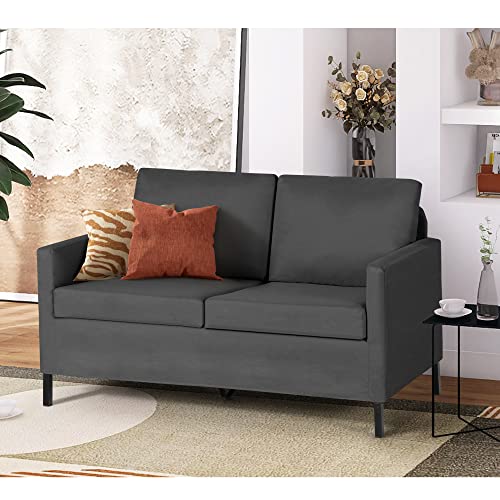 TYBOATLE Upholstered Modern Living Room Loveseat Sofa Couches, Fabric 51“W Comfy Love Seats 2-Seater Furniture w/Iron Legs for Compact Small Space, Apartment, Bedroom, Dorm, Office (Dark Grey)