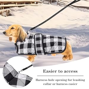 Geyecete Waterproof Warm Thermal Quilted Dachshund Coat with Warm Fleecy Lining Inside,Outdoor Dog Apparel with Adjustable Bands for Small,Medium Dog-Black-S Geyecete Waterproof Warm Thermal Quilted Dachshund Coat with Warm Fleecy Lining InsideOutdoor Dog Apparel with Adjustable Bands for SmallMedium Dog Black S