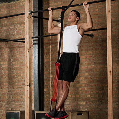 Image of Lifeline Pull Up Revolution Assistance System to Improve Arm, Shoulders and Chest Strength with Assisted Pull Ups and Chin Ups, 3 x 10 x 6.5 inches Red