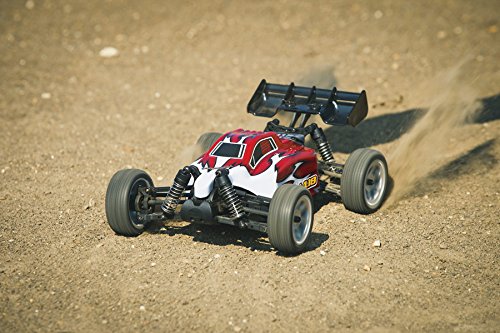 Dromida Bx4 18 Dromida Car Dromida Mt4 18 Brushless Hot Sale