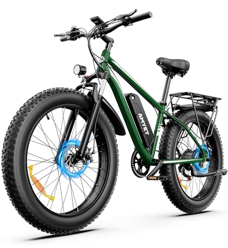 AMYET BFISPORT EB26 Electric Bike for Adults...
