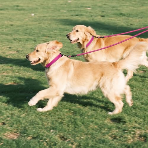 Taglory Doppelte Leinen/Hundeleine Doppelleine für 2 Hunde/Keine Verwicklung Reflektierend Kletterseil/Verstellbar Splitterleinen/75cm, ROSA