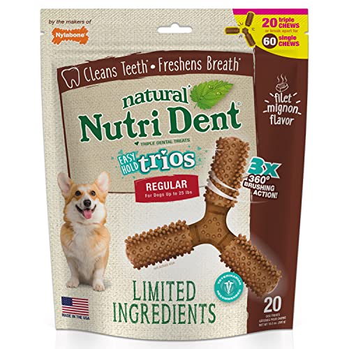 Image of Nylabone Nutri Dent Dog Dental Chews - Natural Dog Teeth Cleaning & Breath Freshener - Dental Treats for Dogs - Filet Mignon Flavor, Small (1 Count) | Natural dental chews for dogs, helps clean teeth & freshen breath, made in USA, vet recommended, for dogs 10-15 lbs