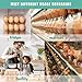 SINLUCESCE 100 Packs Egg Cartons Cheap Bulk，Plastic for 12 Eggs, Clear Egg Cartons 3 * 4 Grids，Perfect for Refrigerator Chicken Farm Markets Commercial Business Market Display