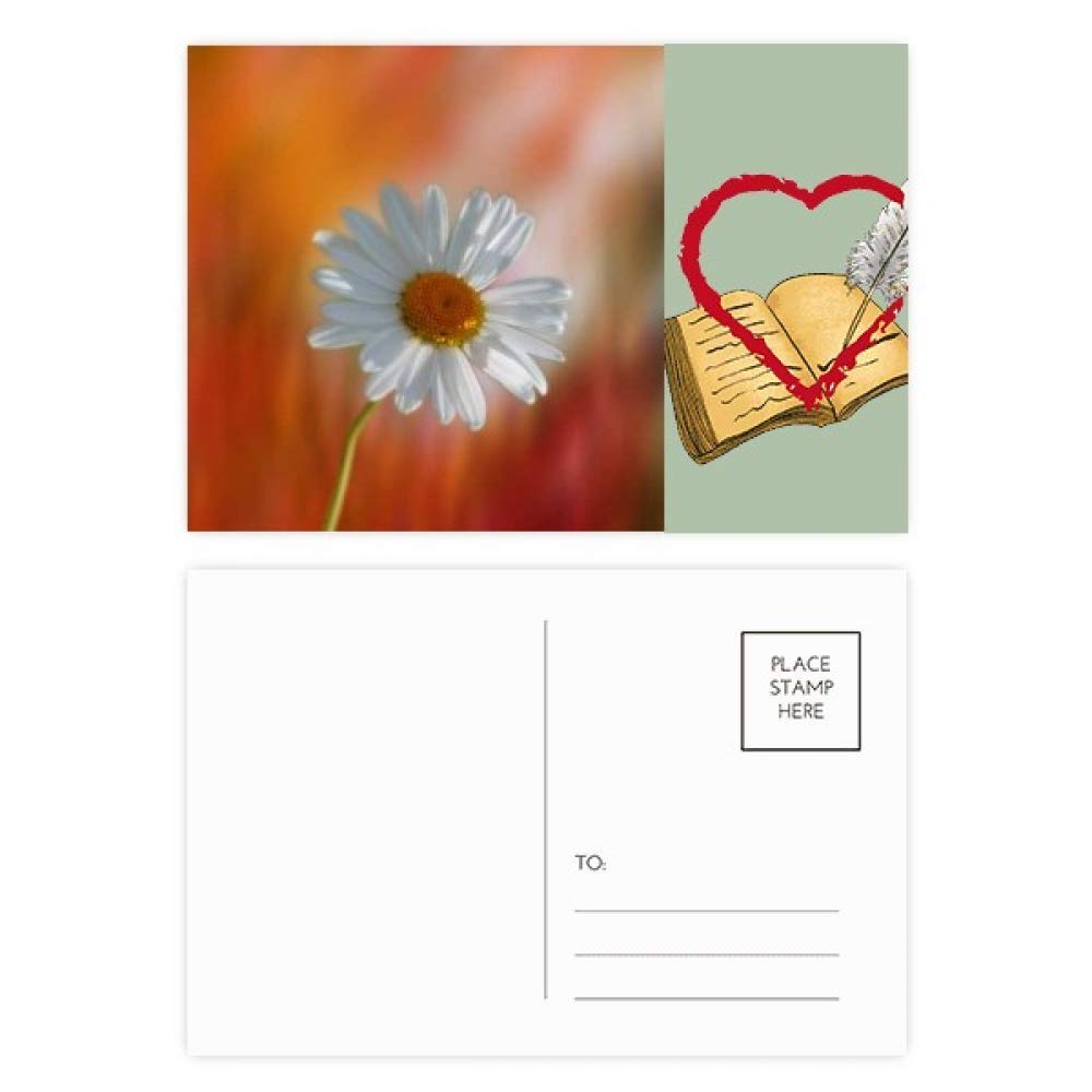Lot de 20 cartes postales de remerciement Motif fleurs Orange foncé et blanc