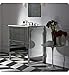 Robern VF24TDCNSA7321 VANITY, 24"W ADORN II, SLOW CLOSE, IND