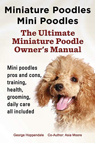 mini poodle care