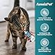 AmeizPet Gastro Intestinale Paste für Katzen, Unterstützung der Darmgesundheit und Darmflora, Verdauungsunterstützendes Ergänzungsmittel für Katzen und Kätzchen, 40g (1.4 Oz)