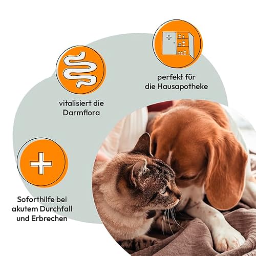 Heilmoor Grau – Sanofor zur Unterstützung der Darmflora für Hunde und Katzen