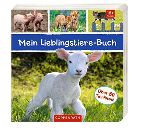 Mein Lieblingstiere-Buch Mein Lieblingstiere-Buch