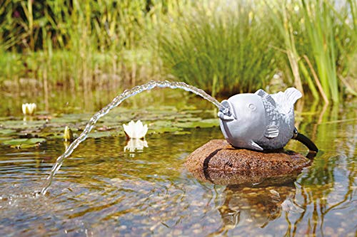 OASE 36777 Wasserspeier Fisch, grau, 24 x 13 x 15,5 cm - Teichfigur aus wetterfestem Polyresin, Sauerstoffversorgung