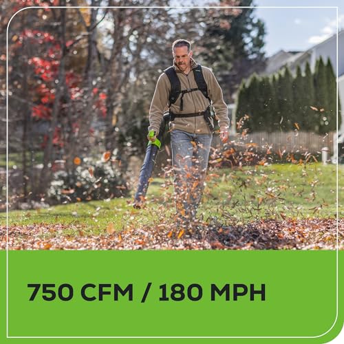 Image of Greenworks 80V Backpack Leaf Blower, 750 CFM, 4.0 Ah Battery and Charger