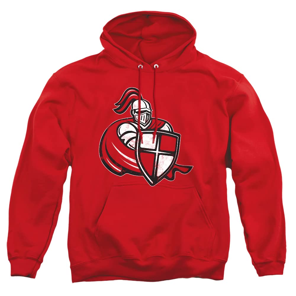 LOGOVISION Official Collegiate Distressed Primary Logo Adult Pullover Hoodie Collection — view 37