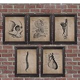 bilder anatomie pferd  LLXHG Menschliche Anatomie Skelett Drucke Und Poster Anatomische Schädel Wandkunst Leinwand Gemälde Vintage Poster Arztpraxis Dekoration-40X50Cmx5 Kein Rahmen
