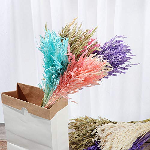 Pampas Grass Large 25pcs Natural Dried Wheat Ear miniatura 4
