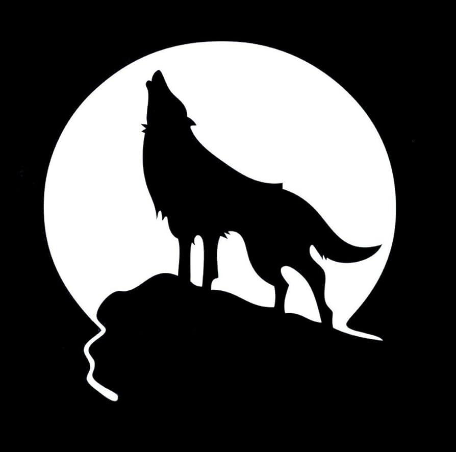 Amazon.co.jp: 狼 おおかみ オオカミ WOLF ウルフ 遠吠え 動物