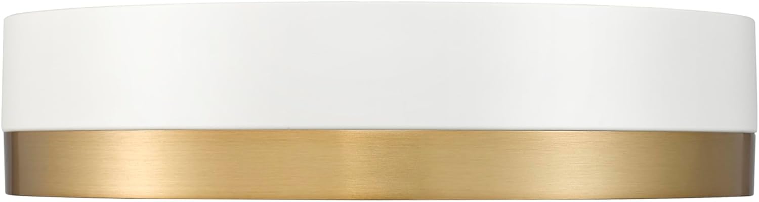 Z-Lite 1006F12-MB-MGLD-LED Algar Flush Mount, 1-Light 24 Watts, Matte Black + Modern Gold