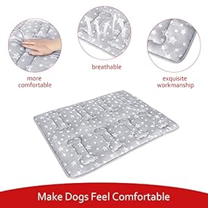   Dog-Crate-Mat-42-X-28-Soft-Dog-Bed-Mat-with-Cute-Prints-Personalized-Dog-Crate-Pad-Anti-Slip-Bottom-Machine-Washable-Kennel-Pad