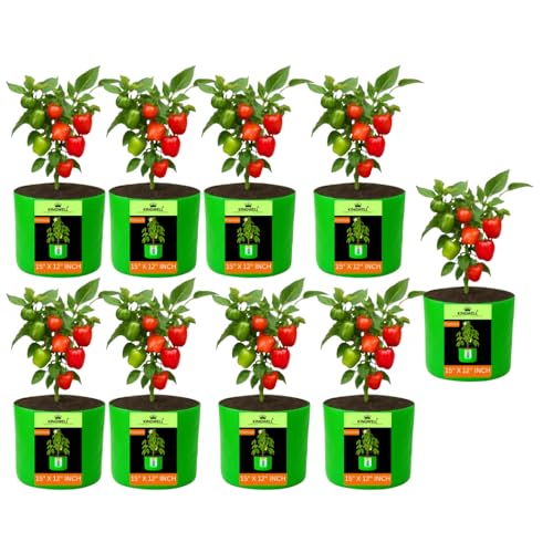 Image of Kingwell grow bags 15x12 inch pack of 9 For Terrace Garden Vegetable Plant Grow Bags Fruits Growing Containers For terrece Gardening