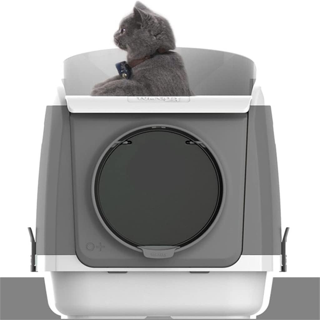 ベルナール・カトラン「レモン籠のある小さい静物」リトグラフ 直筆