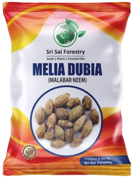 Melia Dubia Tree Seeds 500 Gram | Meliya Dubiya, Malabar Neem, Hebbevu | Fast Growing Tree Seeds (B0C3RWXVQS) Amazon Price History, Amazon Price Tracker