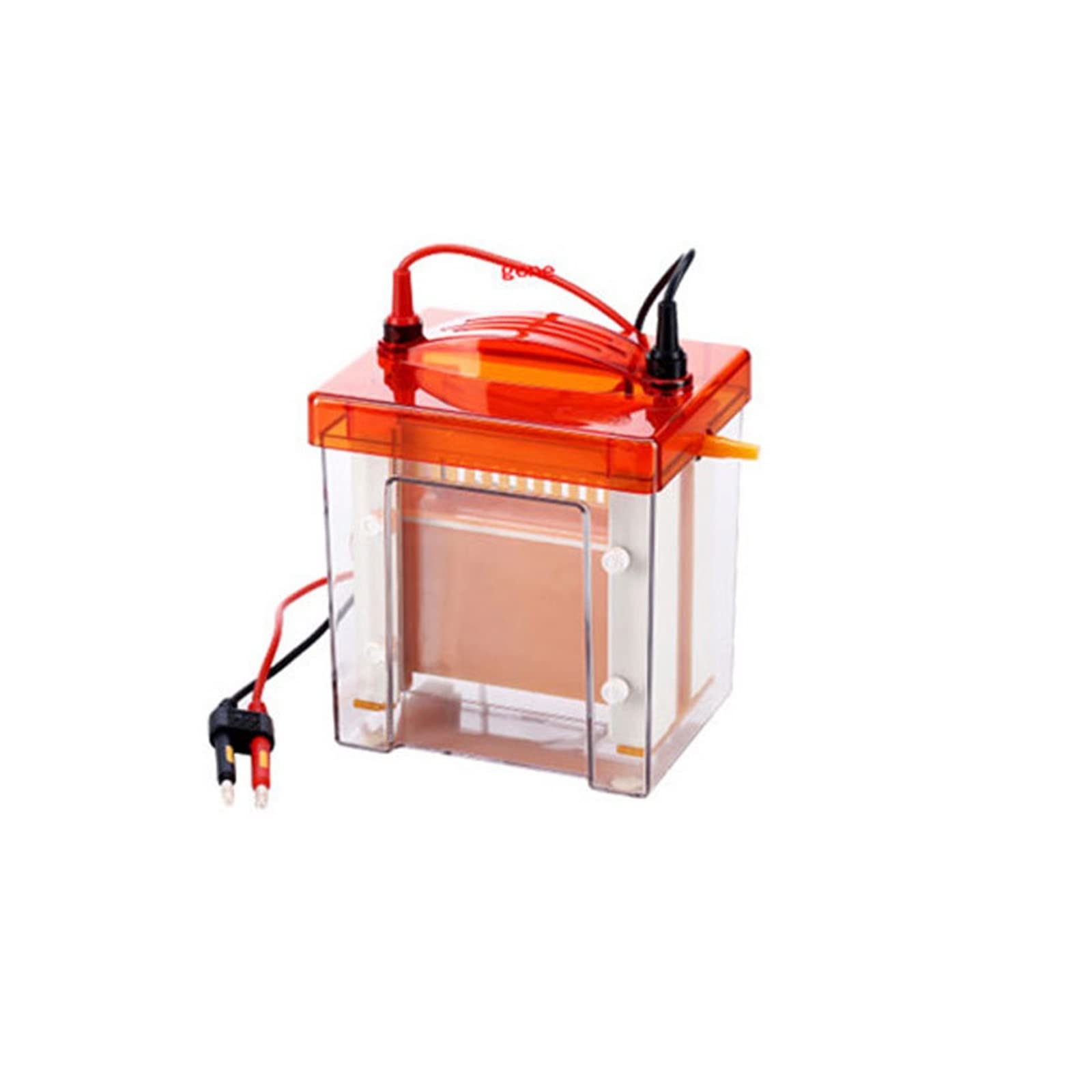 Gel per elettrodi, Strumento da laboratorio for elettroforesi verticale a pannello grande BG-verMIDI Strumento for elettroforesi verticale di medie dimensioni