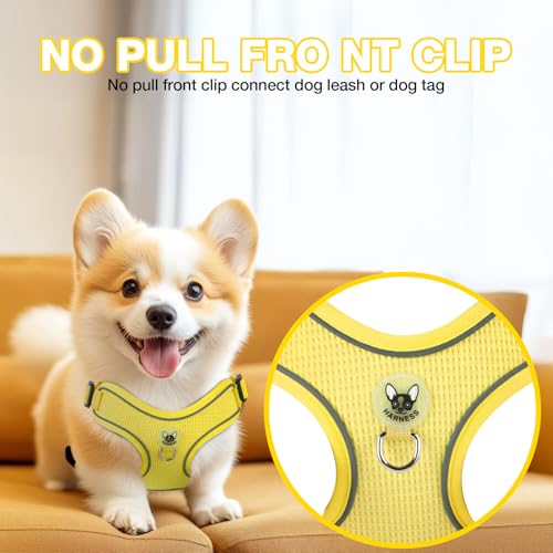 Feycig Hundegeschirr Kleine Hunde, Anti Zug Einstellbar Reflektierend Geschirr, Atmungsaktiv Weiches aus Mesh Geschirr Hund Leichtes Welpengeschirr Brustgeschirr mit Griff (Gelb, X-Small)