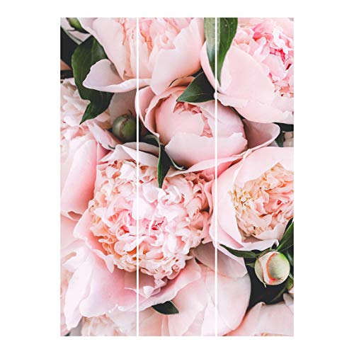 Bilderwelten Cortinas deslizables - Peonies 3 Paneles japoneses Montaje para Techo 250x180cm