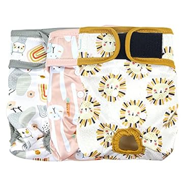 best diaper for female dog in heat