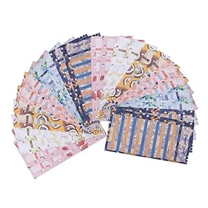 Sewroro 24 Stück Budgetkarten Sparordner Set