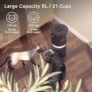 iPettie Hourglass Cat Feeder Automatic with Quickset Remote, 5L/21 Cup Capacity, 1-6 Meals Per Day, 20 sec Voice Recording, Stainless Steel Bowl, Self Feeding Cat Food Dispenser, Auto Cat Feeder iPettie Hourglass Cat Feeder Automatic with Quickset Remote, 5L/21 Cup Capacity, 1-6 Meals Per Day, 20 sec Voice Recording, Stainless Steel Bowl, Self Feeding Cat Food Dispenser, Auto Cat Feeder
