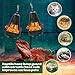 Retisee 2 Pcs Reptile Heat Lamp Cap Reptiles Anti-Scald Lampshade with Power Switch and Anti-bite Hook for Lizards Snakes Chicks, Bulb 100w Not Included