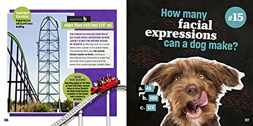 Totally Random Questions Volume 2: 101 Odd and Awesome Q&As - Image 4