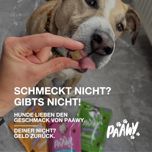 Gelenktabletten für Hunde von Paawy - Test SEHR GUT deutsche Marke - als Snacks mit Grünlippmuschel, MSM, Glucosamin, Chondroitin - sehr hohe Akzeptanz, natürlich, laborgeprüft - 180 Stück