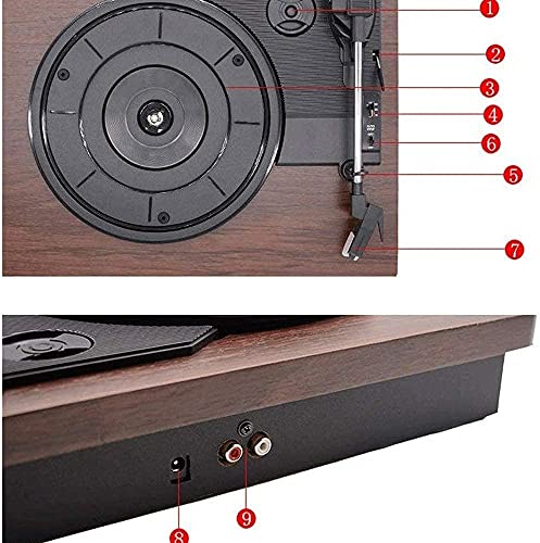 AMZOPDGS Tourne-Disque rétro, Music Box Vinyl Record Player, Turntable with Stereo 3-Speed, Record Player, RCA Output… - Les Beatles, Paul McCartney, John Lennon, RIngo Starr, George Harrison AMZOPDGS Tourne-Disque rétro, Music Box Vinyl Record Player, Turntable with Stereo 3-Speed, Record Player, RCA Output… – Image 4