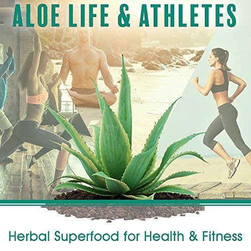 Aloe Life – Skin Gel & Herbs Ultimate Skin Treatment, 99% Certified Organic Whole Leaf Aloe Vera, Vitamins C, A, & E, Head-To-Toe Skin Care Support For The Whole Family, Fragrance-Free (8 Oz) #TOP6