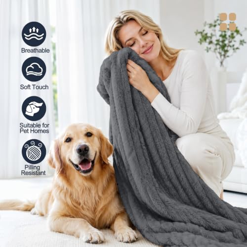 Image of COMAX Futon Sofa Bed, Convertible Sofa Bed, Folding Boneless Couches | Boneless Couch for living room, Fold Out Small Foldable Loveseat Floor Sleeper Mattress Lounge Space‑Saving, Ash Gray