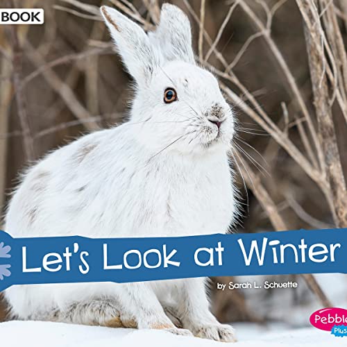 Let's Look at Winter by Sarah L. Schuette episode artwork