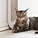 4CLAWS Wall Mounted Scratching Post 26