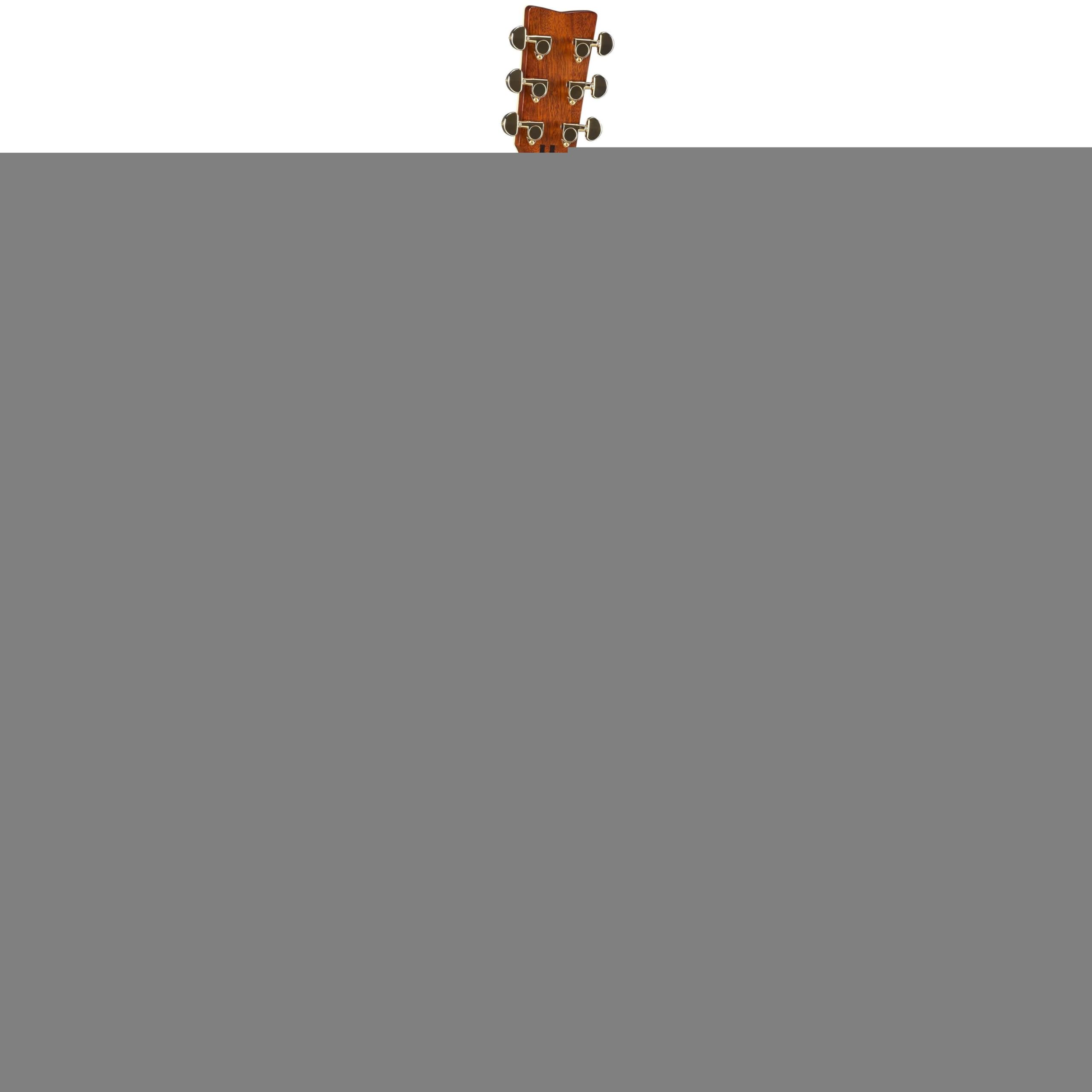 LL-TA TransAcoustic BS Brown Sunburst - Chitarra acustica