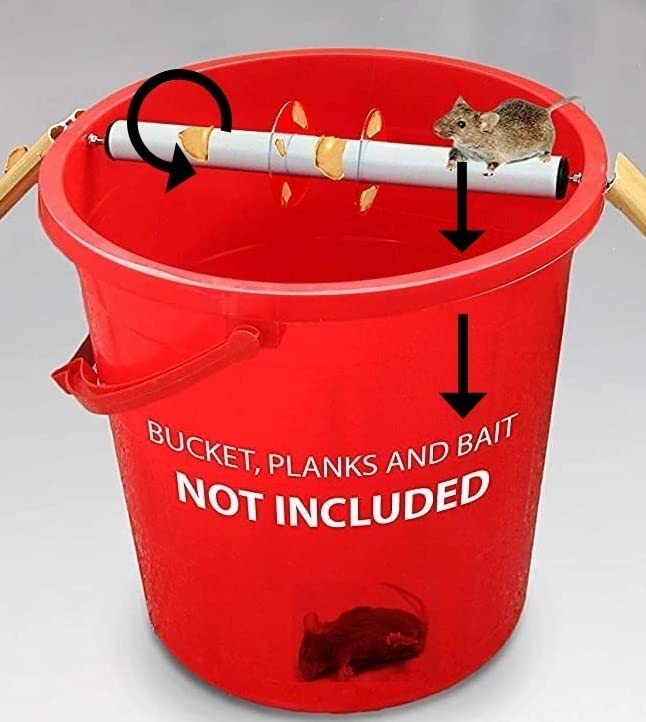 Top 10 Best Rolling Log Mouse Trap 2023 Reviews