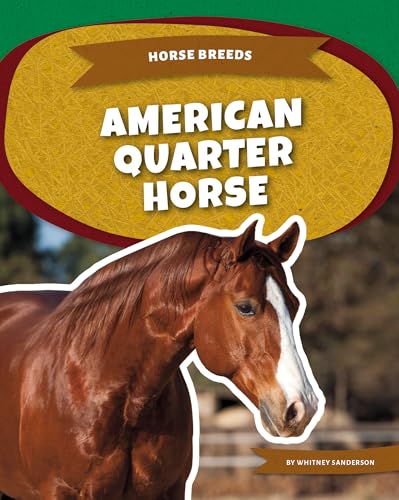 American Quarter Horse (Horse Breeds)