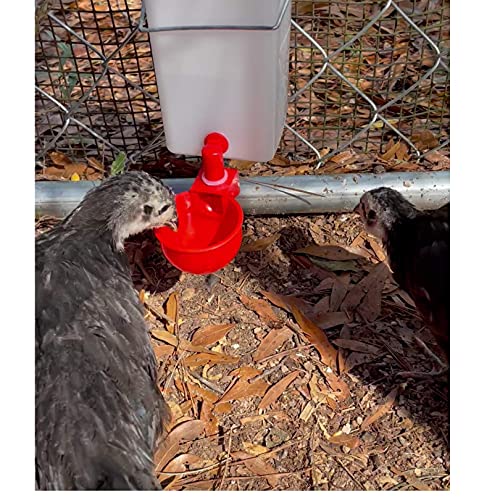 4er-Pack Automatischer Geflügeltränke – Hühnertränke Tränke für Hinterhof Hühnerstall Geflügel Enten Pute Hennen Hähne… – Bild 5