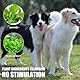 4Pcs Pet Toothbrush Pen Pet Oral Repair Gel Stift Für Hunde Zahnbürstenstift Für Hunde Zahnsteinentferner Hund Geeignet Verbesserung Von Mundgeruch Und Zur Entfernung Von Zahnstein Bei Haustieren