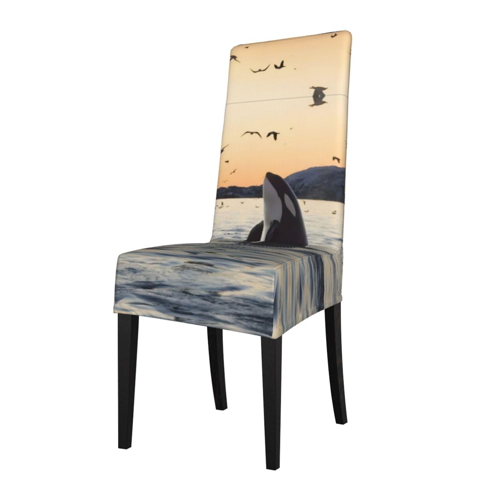 YYHHAOFA Killer Whale Prints Dining Chair Throw Covers Stretchable & Wrinkle-Free for Refreshing Your Furniture